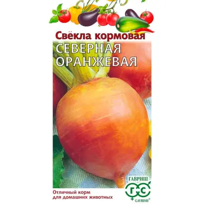 СЕВЕРНАЯ ОРАНЖЕВАЯ