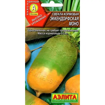 ЭККЕНДОРФСКАЯ МОНО