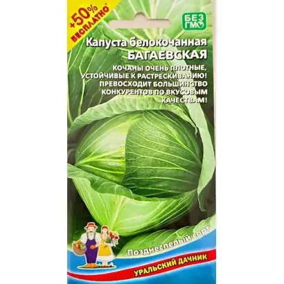 БАГАЕВСКАЯ