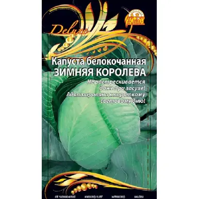 ЗИМНЯЯ КОРОЛЕВА