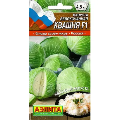 КВАШНЯ