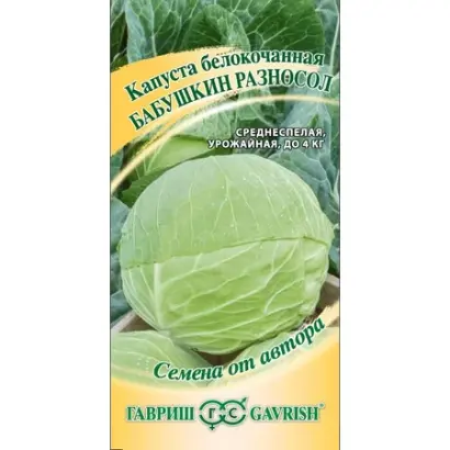 БАБУШКИН РАЗНОСОЛ