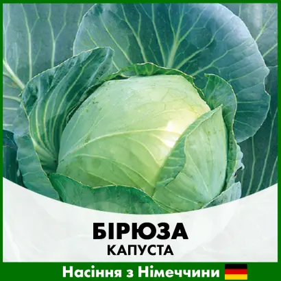 БИРЮЗА ПЛЮС