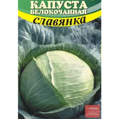 СЛАВЯНКА