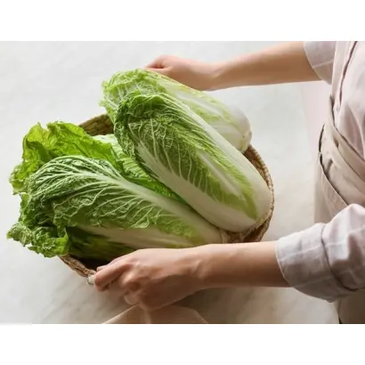 ЕЛИЗАВЕТА МАЛАХОВА