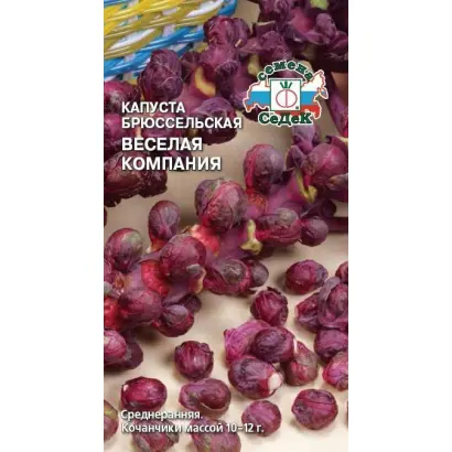 ВЕСЕЛАЯ КОМПАНИЯ