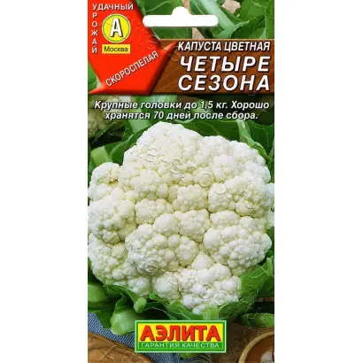 ЧЕТЫРЕ СЕЗОНА