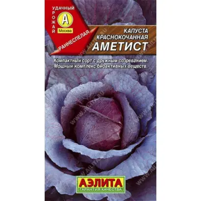 АМЕТИСТ