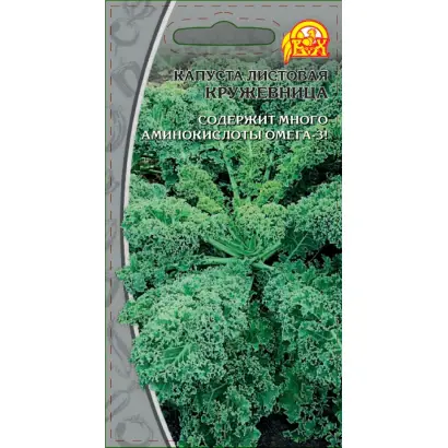 КРУЖЕВНИЦА