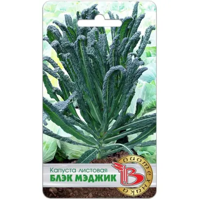 БЛЭК МЭДЖИК