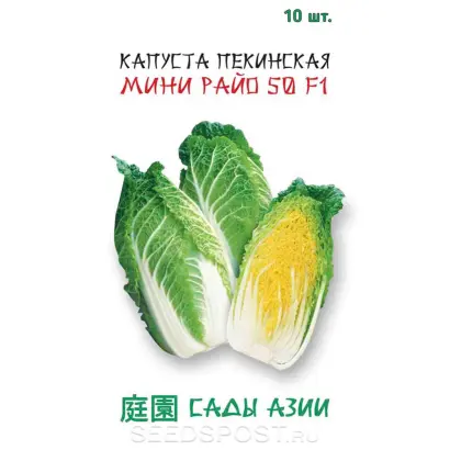 МИНИ РАЙО 50