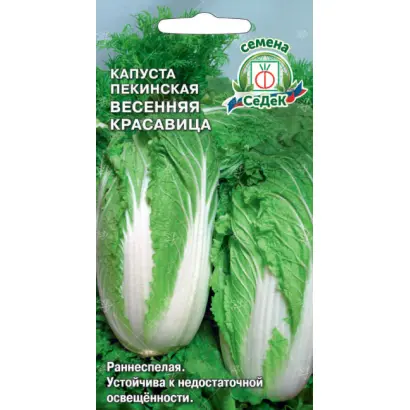 ВЕСЕННЯЯ КРАСАВИЦА