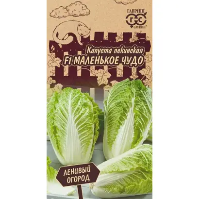 МАЛЕНЬКОЕ ЧУДО