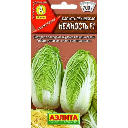 НЕЖНОСТЬ