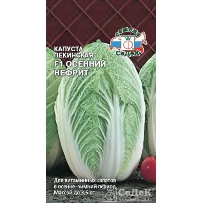 ОСЕННИЙ НЕФРИТ