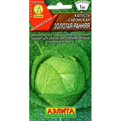 ЗОЛОТАЯ РАННЯЯ