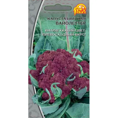 ВАЙОЛЕТТЕР