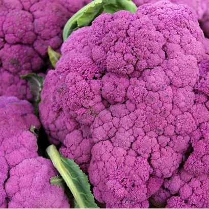 ПЁРПЛ КРАУН