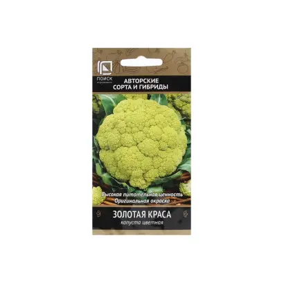 ЗОЛОТАЯ КРАСА