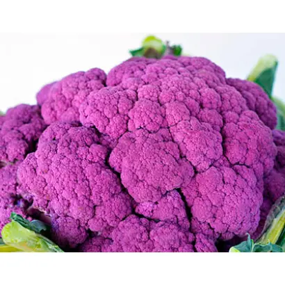 МЕЧТА ОГОРОДНИКА