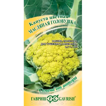 МАСЛЯНАЯ ГОЛОВУШКА