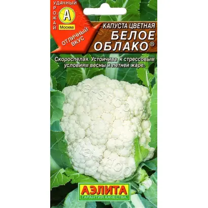 БЕЛОЕ ОБЛАКО