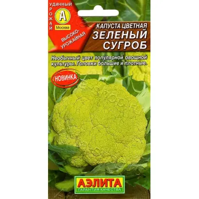 ЗЕЛЕНЫЙ СУГРОБ