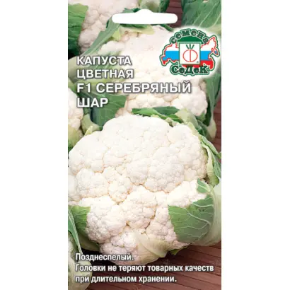 СЕРЕБРЯНЫЙ ШАР