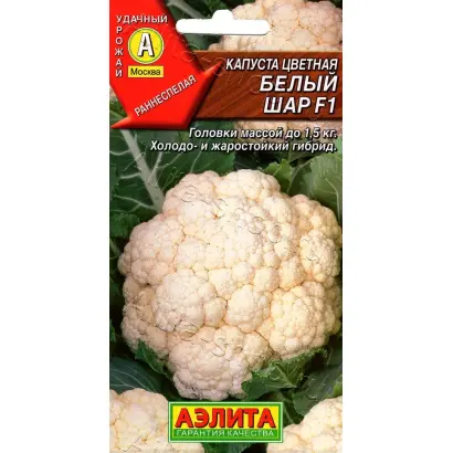 БЕЛЫЙ ШАР