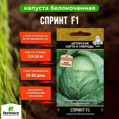 МАРСЕЛЬЕЗА