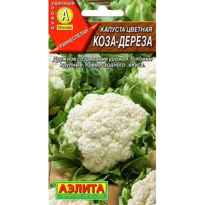 КОЗА-ДЕРЕЗА