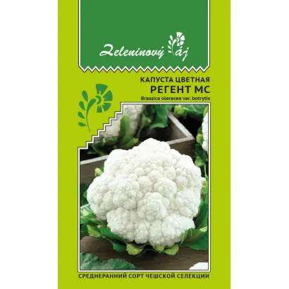 РЕГЕНТ МС