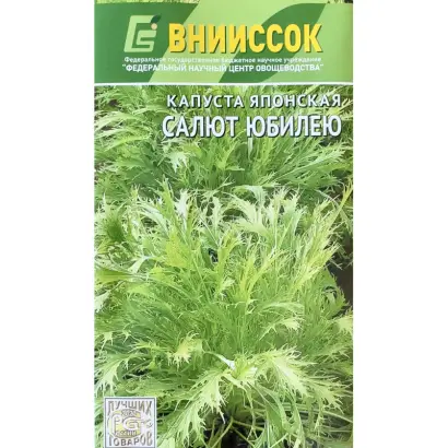 САЛЮТ ЮБИЛЕЮ