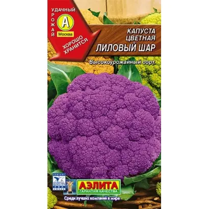 ЛИЛОВЫЙ ШАР