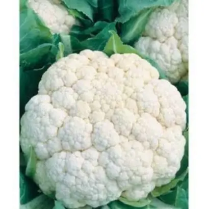 МАРВЕЛ 4 СЕАЗОНС