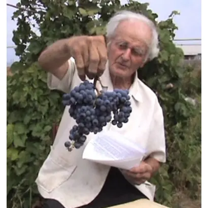 СИБИРЯК ПОТАПЕНКО