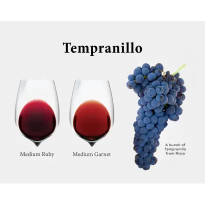 ТЕМПРАНИЛЬО