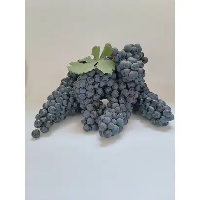 ЦИМЛЯНСКИЙ СЕРГИЕНКО