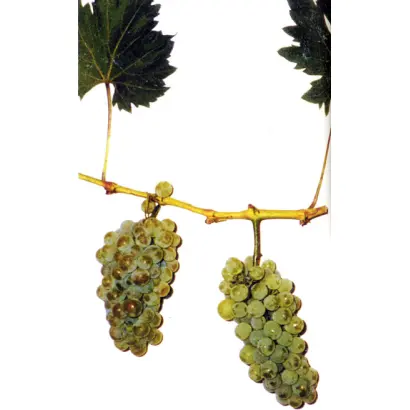 СТРЕМЕННОЙ