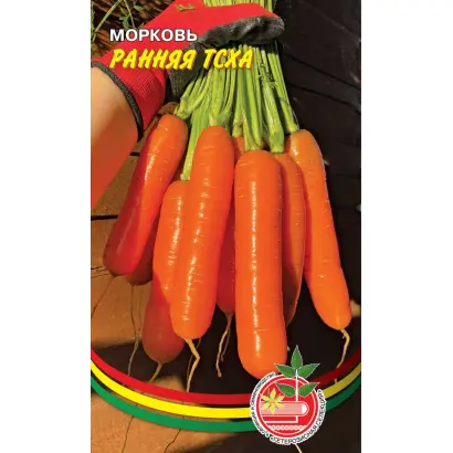 РАННЯЯ ТСХА