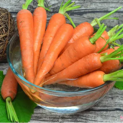 ПРИМОРСКАЯ 22