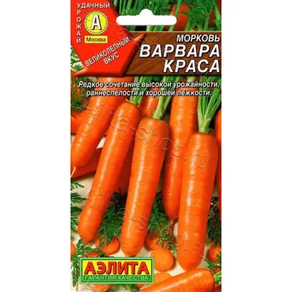 ВАРВАРА КРАСА