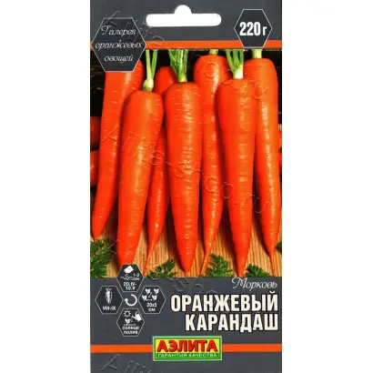 ОРАНЖЕВЫЙ КАРАНДАШ