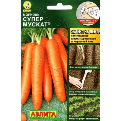 СУПЕР МУСКАТ