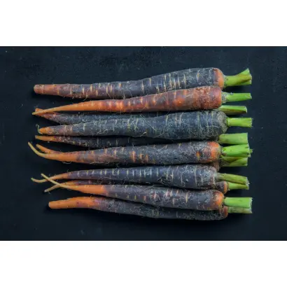 ЧЕРНОЗЕМОЧКА