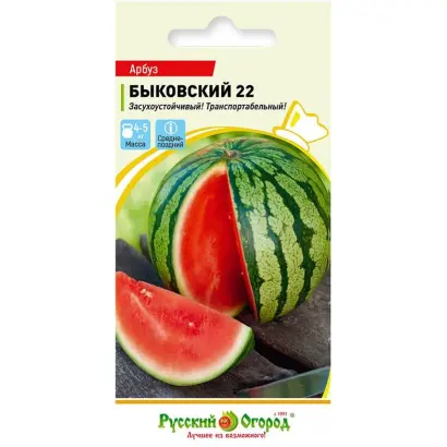 БЫКОВСКИЙ 22