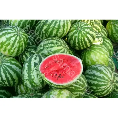 АСТРАХАНСКИЙ