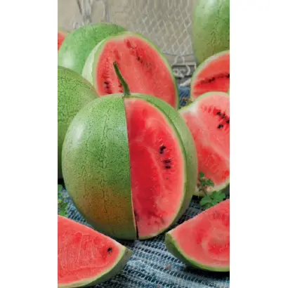 МАЛИНОВЫЙ СОРБЕТ