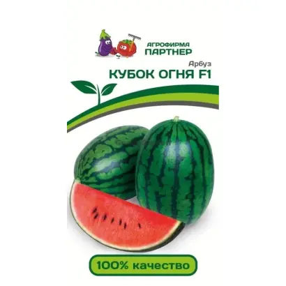 КУБОК ОГНЯ