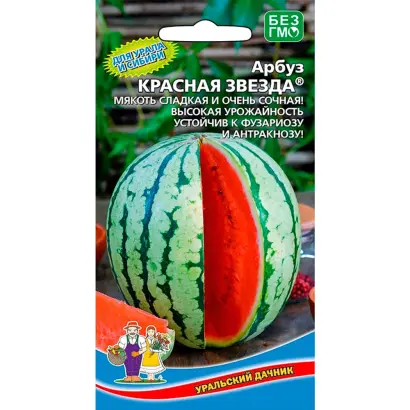 КРАСНАЯ ЗВЕЗДА